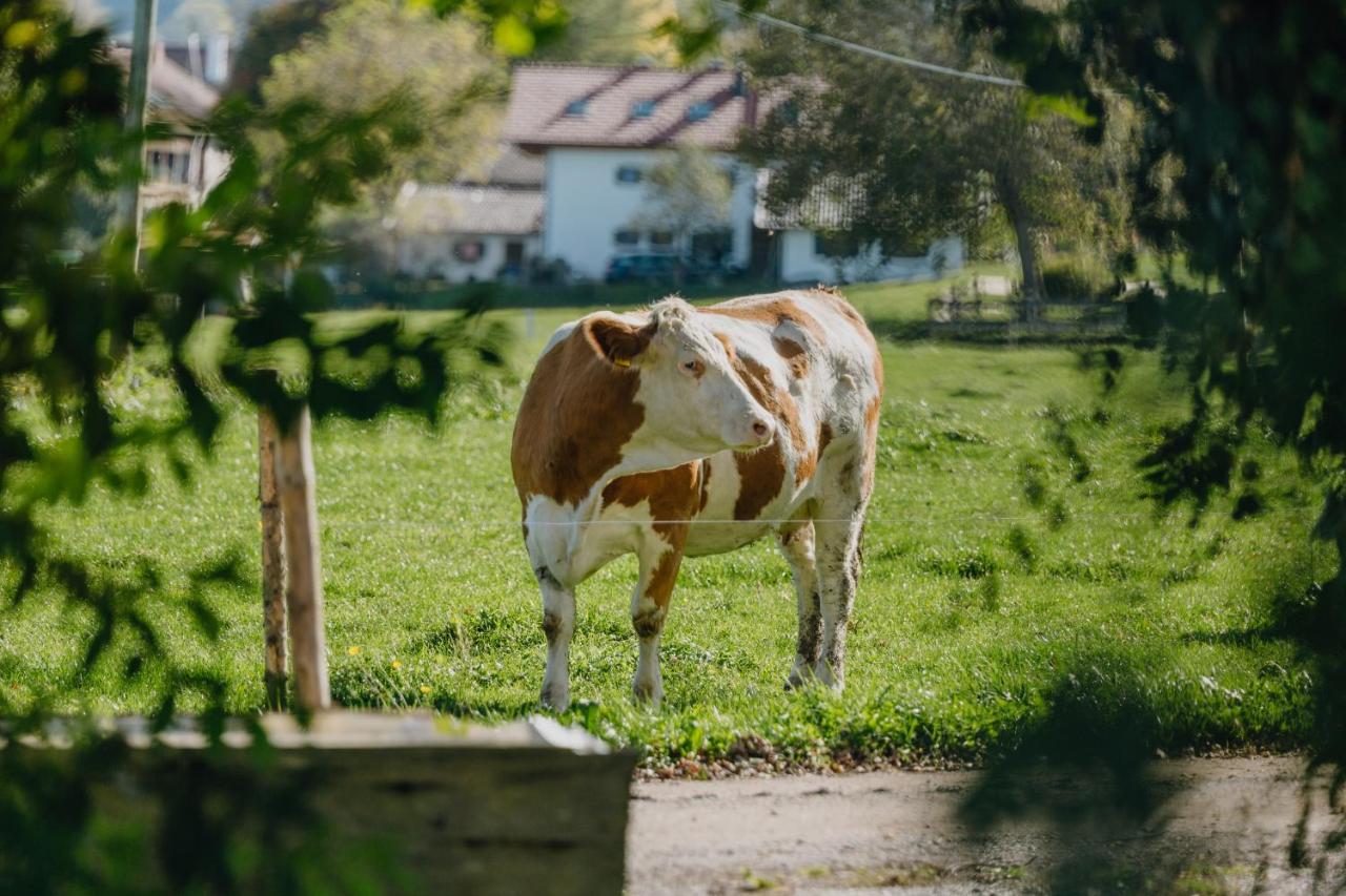 Bernwieserhof