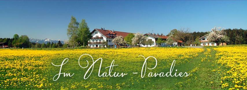 Bernwieserhof Apartment